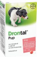 drontal pup Wurmkur Welpen Spulwürmern Hakenwürmern Peitschenwürmern.