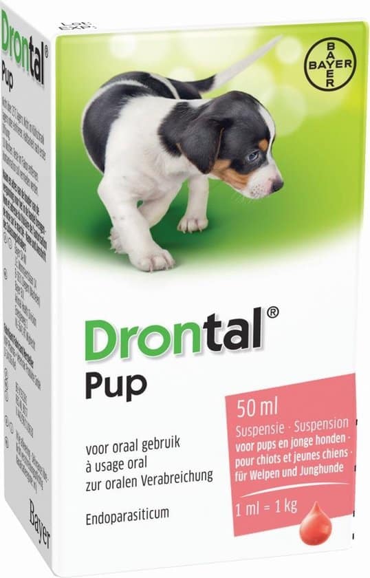 Drontal Pup (Welpe)-1