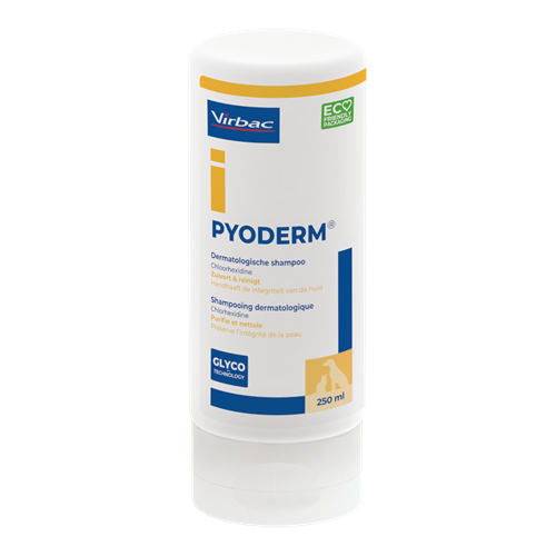 Pyoderm Shampoo-1