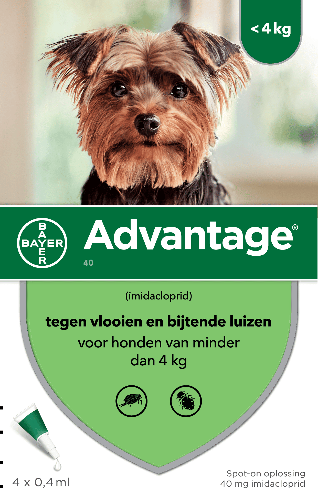 Advantage Hund-2