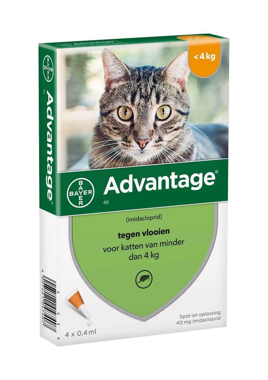 Advantage Katze-2