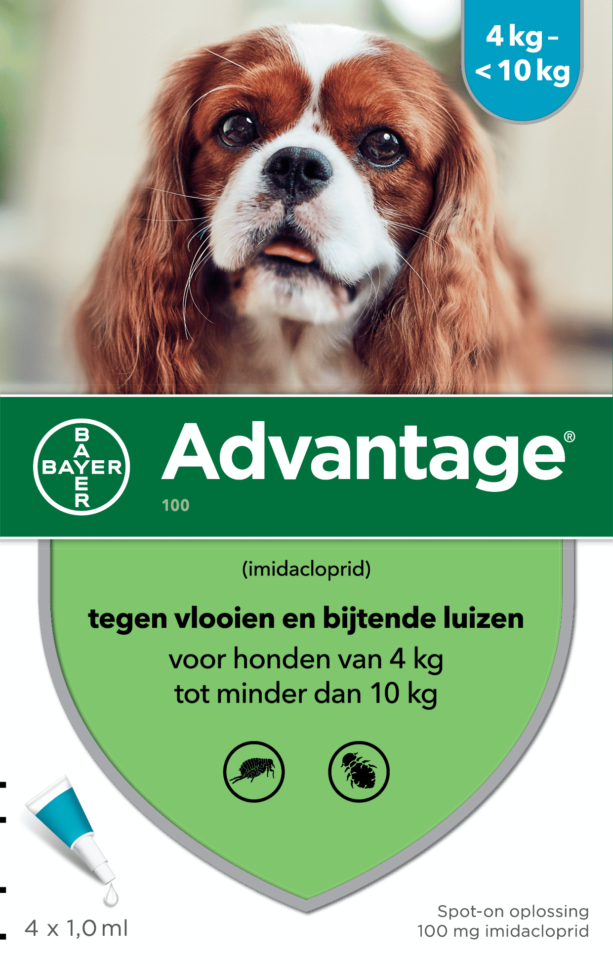 Advantage Hund-3