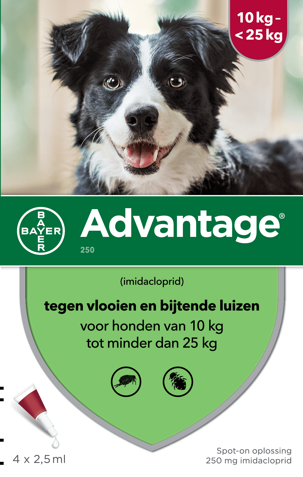 Advantage Hund-4