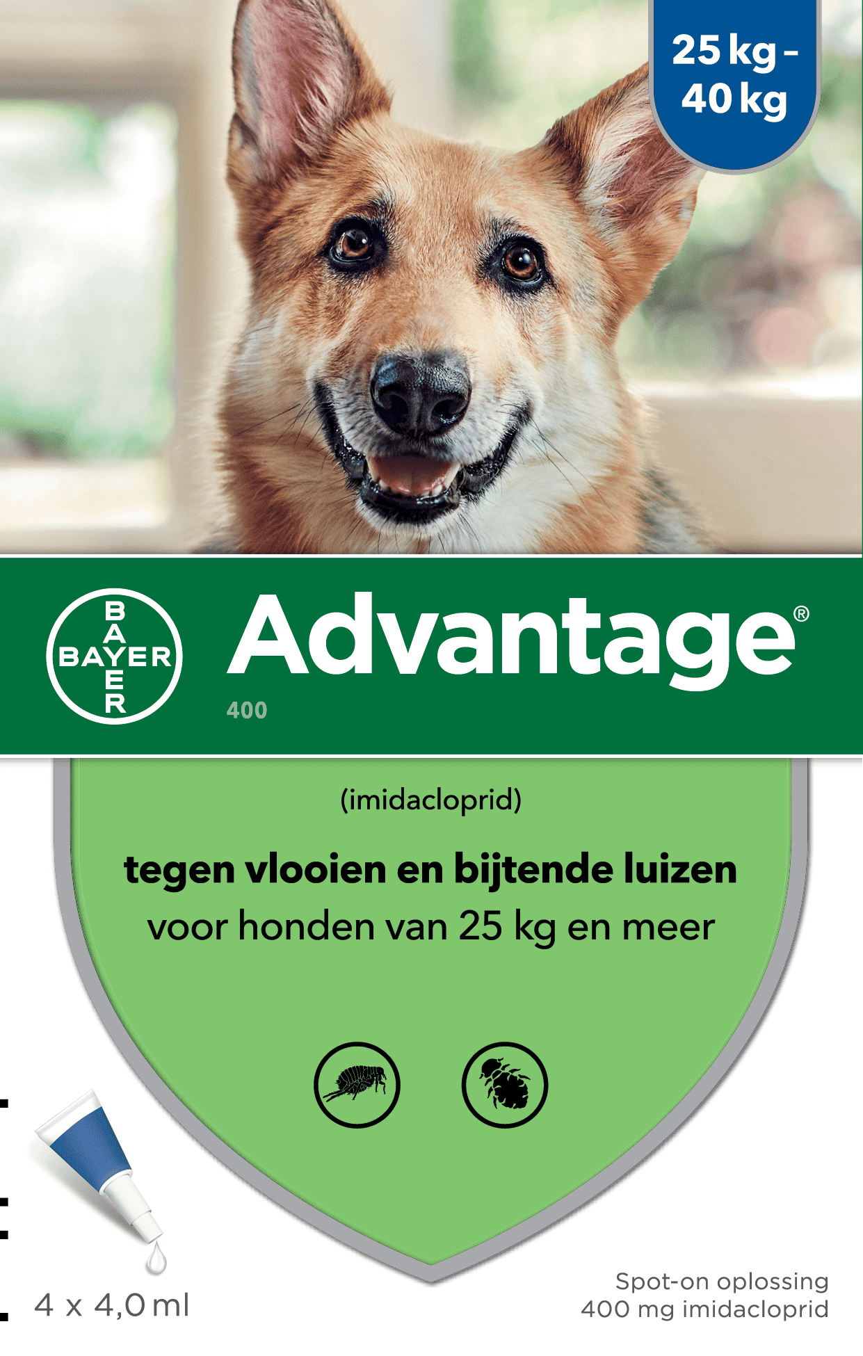 Advantage Hund-5