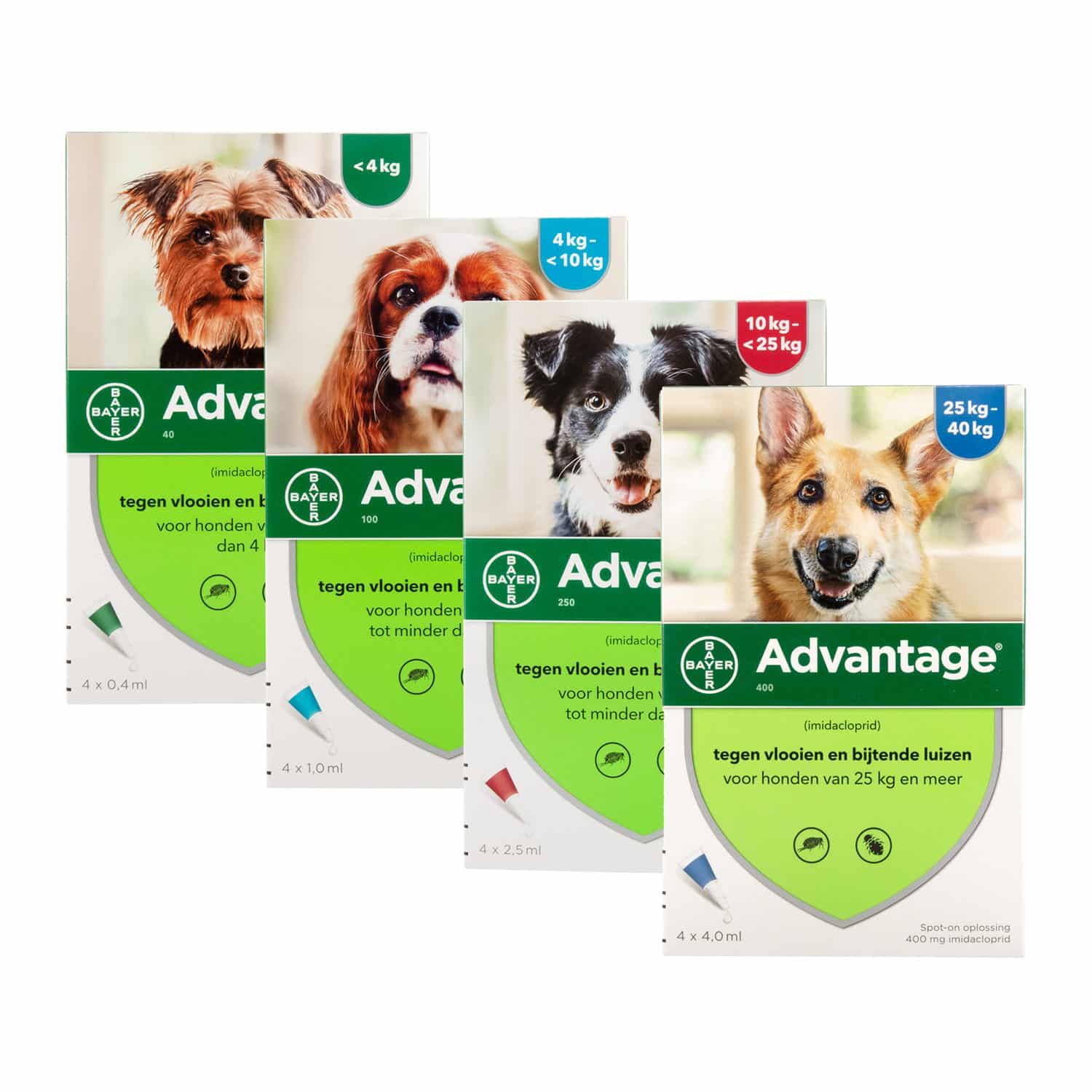 Advantage Hund kaufen? - DrPetcare.de - online Tierapotheke!