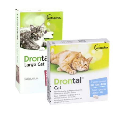Drontal Cat (Katze)-1