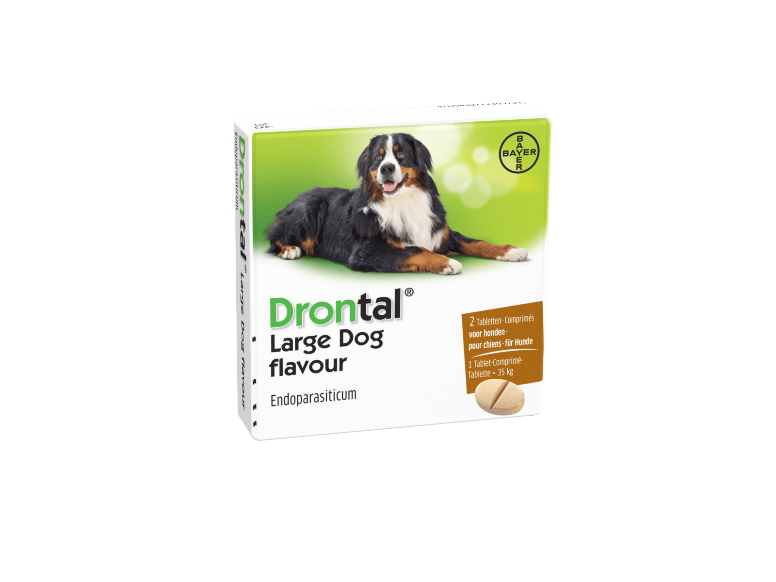 Drontal Hund-2