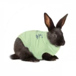 MPS medical pet shirt kaninchen