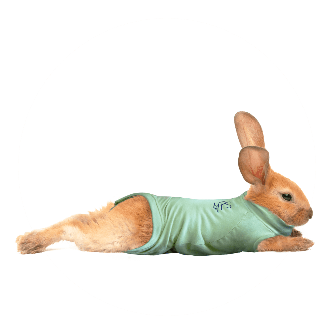 Medical Pet Shirt Kaninchen-2