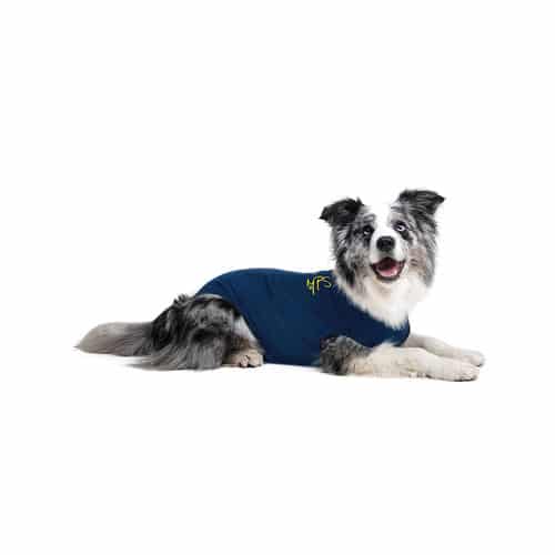 Medical Pet Shirt Hund-1