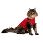 Medical pet shirt katze