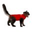 Medical Pet Shirt Katze