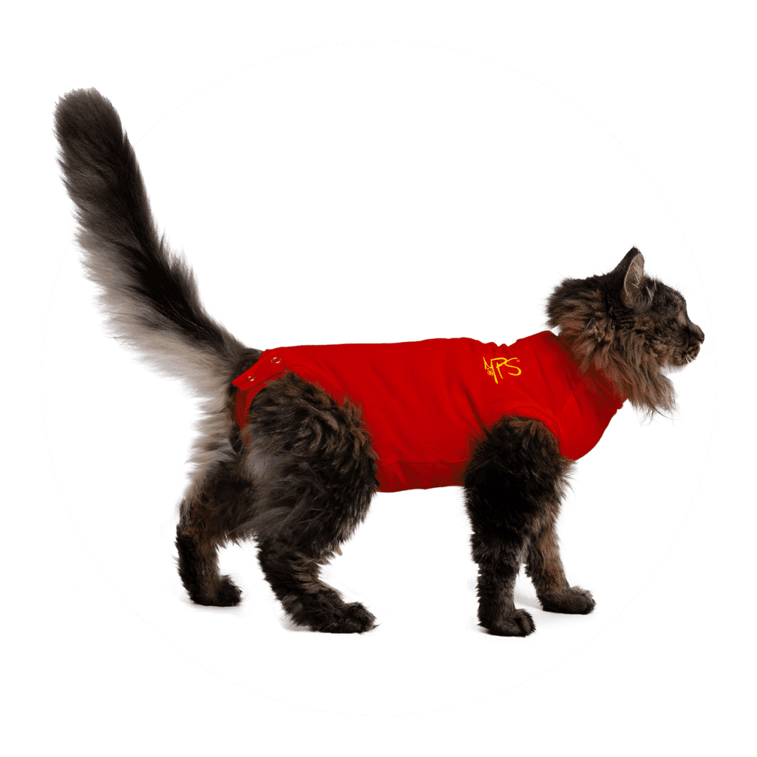 Medical Pet Shirt Katze-2