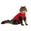 Medical Pet Shirt Katze