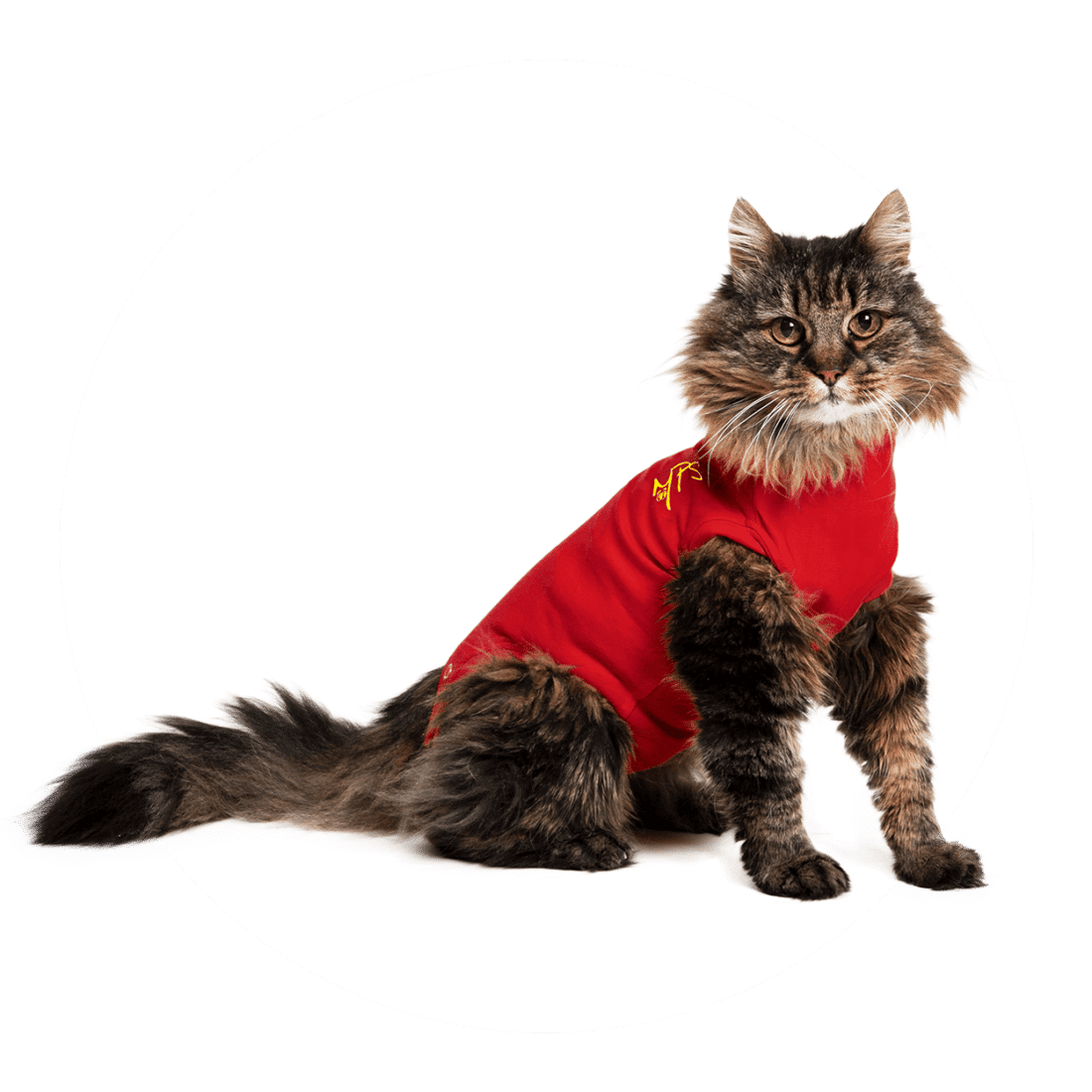 Medical Pet Shirt Katze-1