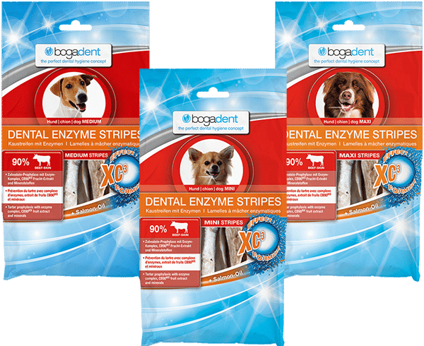 Bogadent Dental Enzyme Stripes Hund-1