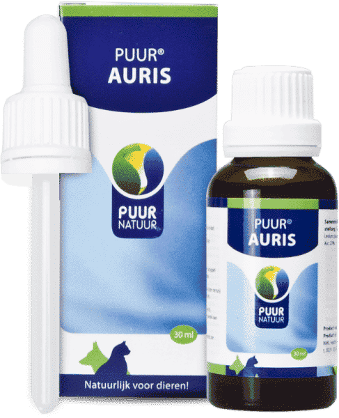 PUUR Auris-1