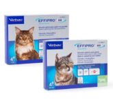 Virbac Effipro duo spot on Floehe Zecken katze