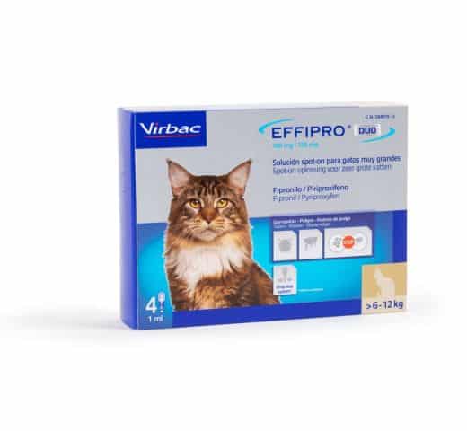 Effipro DUO spot-on Katze-3