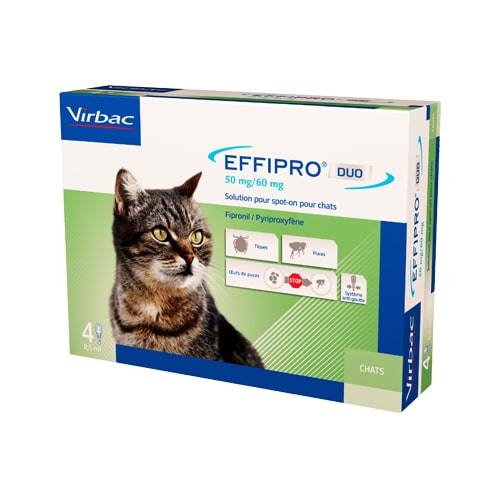 Effipro DUO spot-on Katze
