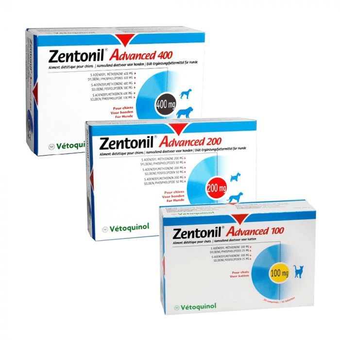 Zentonil Advanced – Hund-1