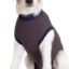 Jacketz Medical Body Suit für Hunde