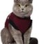 Jacketz Medical Body Suit für Katzen