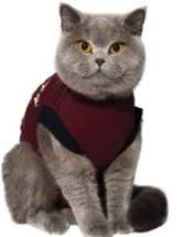 Jacketz Medical Body Suit für Katzen-1