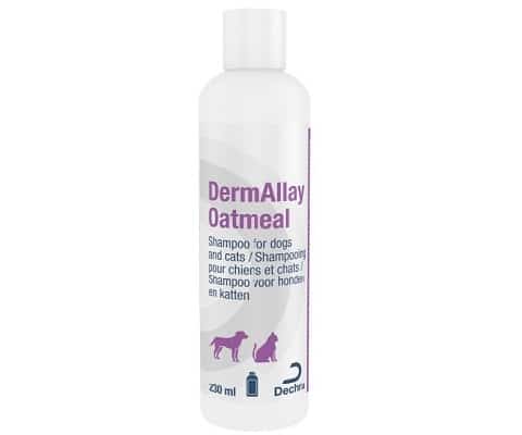DermAllay Oatmeal Shampoo-1