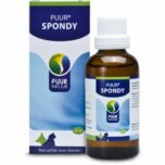 puur Spondy hund katze