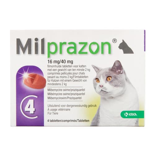 Milprazon Katze-5