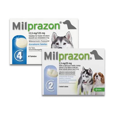 Milprazon Hund-1