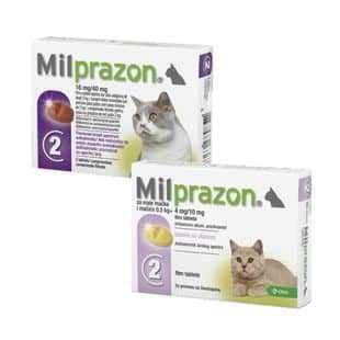 Milprazon Katze-1