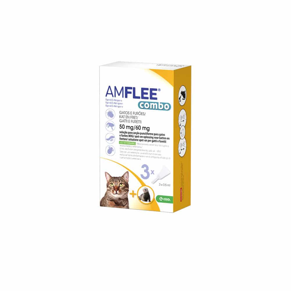 Amflee Combo Spot-on Katze-1
