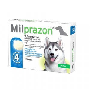 Milprazon Hund-2