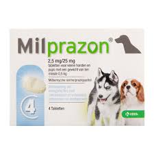 Milprazon Hund-3