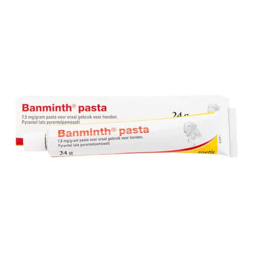 Banminth Pasta Hund-1