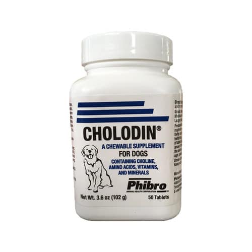 Cholodin Kautabletten-1