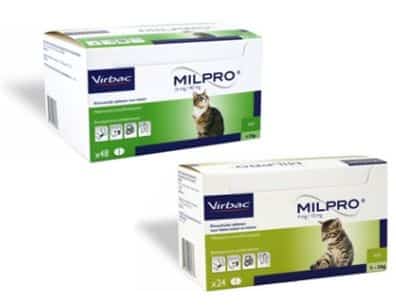 Milpro Katze-1