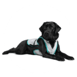 suitical dry cooling vest dog hond