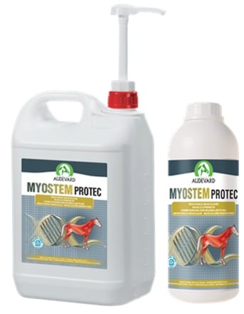 Audevard Myostem Protec-1