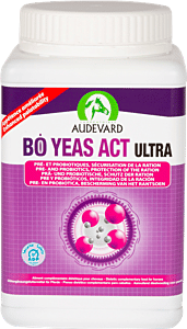 Audevard Bo Yeas Act Ultra-4