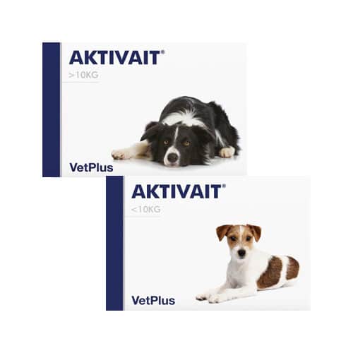 vetplus aktivait hond displau