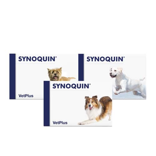 vetplus synoquin efa display