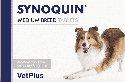 Vetplus Synoquin EFA Hund-3