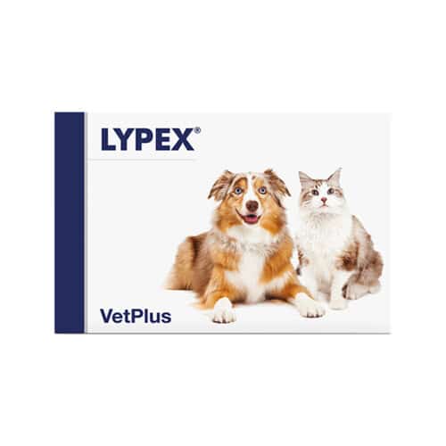 vetplus lypex Pankreas -Enzym-Kapseln Hunde Katzen