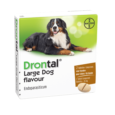 Drontal Hund-4