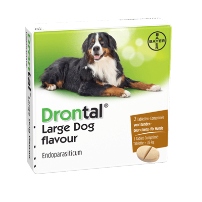 Drontal Dog Tasty-4