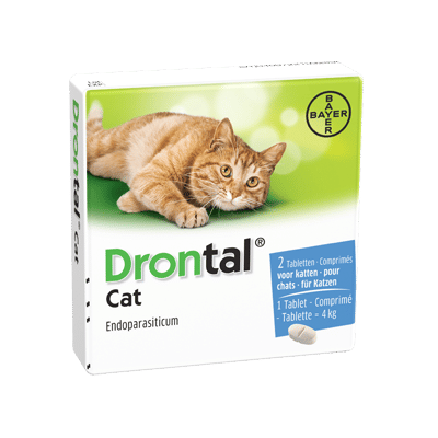 Drontal Cat (Katze)-2