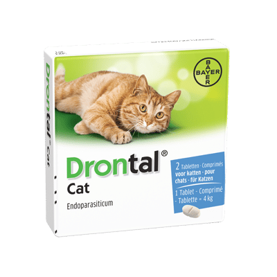 Drontal Cat (Katze)-4